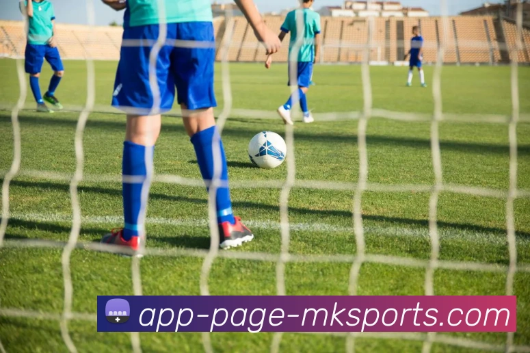 App Interface Preview