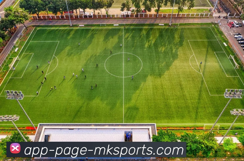 MK体育APPAPP 封面图